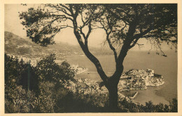 Delcampe - CPA Monaco Monte Carlo Vue D Ensemble - Monte-Carlo