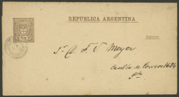Delcampe - ARGENTINA: GJ.FAJ-11, Coat Of Arms ½c. Chestnut With The Stamp PRINTED ON THE LEFT, Used, VF Quality! - Interi Postali