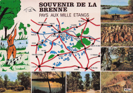 Delcampe - 36 LE BLANC PAYS AUX MILLE ETANGS - Le Blanc