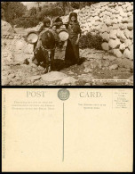 Delcampe - Algeria Old Postcard El Kantara Donkey Native Little Girls Filling Water Barrels - Andere & Zonder Classificatie