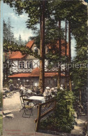 Delcampe - Wernigerode Harz Wasserfall Steinerne Renne - Wernigerode