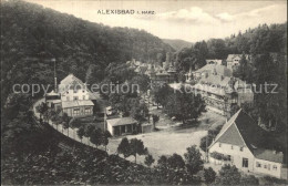 Delcampe - Alexisbad Harz Ortsansicht - Harzgerode