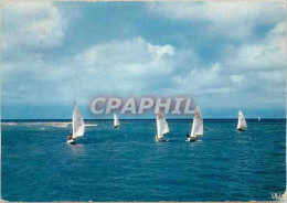 Delcampe - CPM Voiliers En Mer - Segelboote