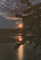 Delcampe - Italy Cosenza La Sila Lake Cecilia Sunset Landscape Pine Tree Reflection *YAR134 - Cosenza