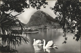 Delcampe - Lugano TI Lugano Monte San Salvatore - Sonstige & Ohne Zuordnung