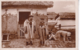 Delcampe - HONGRIE(TYPE) BERGER - Ungarn
