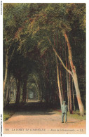 Delcampe - AQTP1-0035-60 - La Foret De COMPIEGNE - Route De La Gouvermante - Compiegne