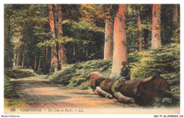 Delcampe - AQTP1-0064-60 - COMPIEGNE - Un Coin De Foret - Compiegne