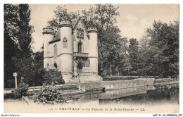 Delcampe - AQTP1-0037-60 - CHANTILLY - Le Chateau De La Reine-blanche - Chantilly