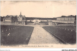 Delcampe - ADEP5-60-0396 - CHANTILLY - Vue Générale Prise De La Route Des Lions - Chantilly