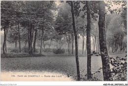 Delcampe - ADEP5-60-0418 - FORET DE CHANTILLY - Route Des Lions - Chantilly