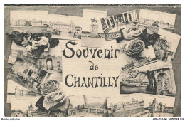 Delcampe - AODP10-0659-60 - CHANTILLY - Souvenir De Chantilly - Chantilly