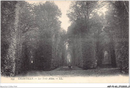 Delcampe - AKFP3-0179-60 - CHANTILLY - Les Trois Allées - Chantilly