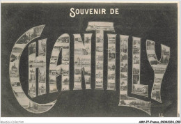 Delcampe - AMYP7-0540-60 - CHANTILLY - Souvenir - Chantilly