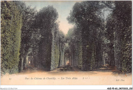 Delcampe - ADEP5-60-0436 -  PARC DU CHATEAU DE CHANTILLY - Les Trois Allées - Chantilly