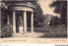 Delcampe - ADEP6-60-0452 - CHATEAU DE CHANTILLY - Le Temple De Diane - Chantilly