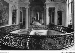 Delcampe - AKFP3-0291-60 - CHANTILLY - Rampe De L'escalier D'honneur - Chantilly