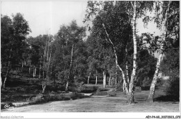 Delcampe - AEYP4-60-0297 - ERMENONVILLE - Oise - Clairière En Forêt - Ermenonville