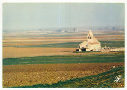 Delcampe - CPSM / CPM 10.5 X 15 Prestige POITOUéglise Et Cimetière Au Milieu Des Champs - Poitou-Charentes