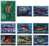 Delcampe - 67151 MNH YUGOSLAVIA 1956 FAUNA MARINA DEL MAR ADRIATICO - Crustacés
