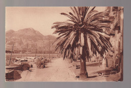 Delcampe - CPA 20-2A - Calvi - La Marine - Éditions D'Art YVON - Non Circulée - Calvi