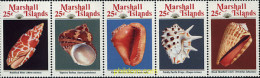 Delcampe - 153691 MNH MARSHALL Islas 1989 CONCHAS - Marshall