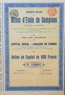Delcampe - Mines D'étain De Campinas - Bruxelles - 1912 - Action De Capital - Mines