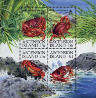 Delcampe - 72668 MNH ASCENSION 1989 FAUNA MARINA - Ascension