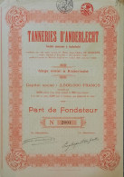 Delcampe - Tanneries D'Anderlecht - 1920 - Part De Fondateur - Textile