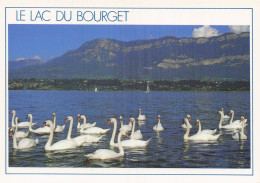 Delcampe - 73 LE BOURGET DU LAC LE LAC DU BOURGET - Le Bourget Du Lac