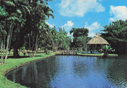 Delcampe - MAURICE PAMPLEMOUSSES - Mauritius