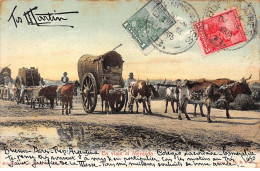 Delcampe - ARGENTINE - SAN64751 - En Viaje Al Mercado - Argentinien