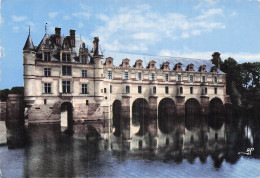 Delcampe - 37 CHENONCEAUX CHATEAU DE CHENONCEAU - Chenonceaux