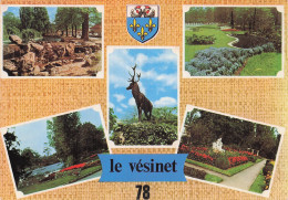 Delcampe - 78 LE VESINET PARC DES IBIS - Le Vésinet
