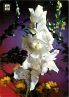 Delcampe - Carte Postale - Fleurs - CPM - Voir Scans Recto-Verso - Poscard - Carta Postal -  Postkarte - Blumen