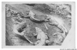 Delcampe - CAR-AFZP13-0700-PAKISTAN - Crocodiles - Carte Photo - Pakistan