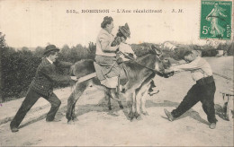 Delcampe - France - Robinson - L'ane Récalcitrant - Animé - Humour - CPA - Antony