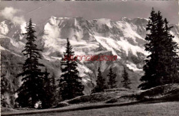 Delcampe - CPSM OBERLAND BERNOIS - BEL MURREN - Sonstige & Ohne Zuordnung