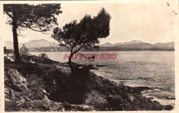Delcampe - CPSM SAINT RAPHAEL - VUE DE ST AYGULF - Saint-Raphaël