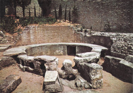 Delcampe - 30 NIMES LE CASTELLUM DIVISORIUM - Nîmes