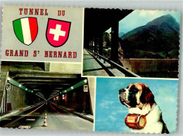 Delcampe - 1920 Martigny Foto AK Tunnel Grand St. Bernhard Hund Bernardiner Wappen... - 38187431 - Martigny