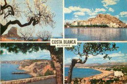 Delcampe - CPM Alicante  La Cote Blanche - Alicante