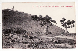 Delcampe - 07761 /  Senegal DAKAR Baobab PHARE Des MAMELLES 28.01.1916 à SALLE Negociant Vins Rue Michelet St Etienne - Senegal