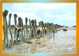Delcampe - 17-ILE D OLERON-N°TB3562-B/0233 - Ile D'Oléron