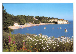 Delcampe - 17-MESCHERS SUR GIRONDE-N°TB3562-B/0135 - Meschers
