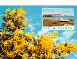 Delcampe - 17-ILE D OLERON-N°TB3562-B/0069 - Ile D'Oléron