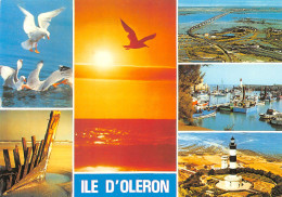 Delcampe - 17-ILE D OLERON -N°TB3562-A/0193 - Ile D'Oléron