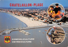 Delcampe - 17-CHATELAILLON PLAGE-N°TB3562-A/0185 - Châtelaillon-Plage
