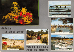 Delcampe - 17-ILE D OLERON -N°TB3562-A/0129 - Ile D'Oléron