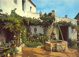 Delcampe - 17-ILE D OLERON -N°TB3562-A/0083 - Ile D'Oléron